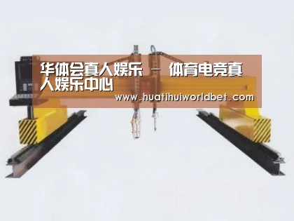 产品名称十七