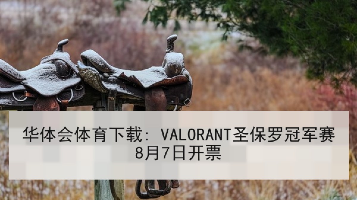 华体会体育下载: VALORANT圣保罗冠军赛8月7日开票