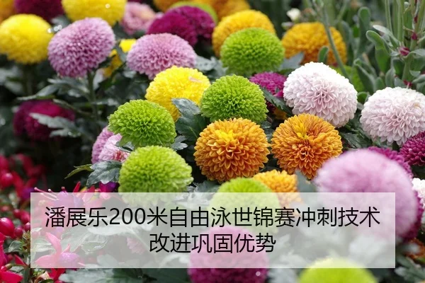 潘展乐200米自由泳世锦赛冲刺技术改进巩固优势