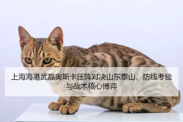 shang-hai-hai-gang-wu-lei-ao-si-ka-ya-zhen-dui-jue-shan-dong-tai-shan-fang-xian-kao-yan-yu-zhan-shu-he-xin-bo-yi-2-918.jpg
