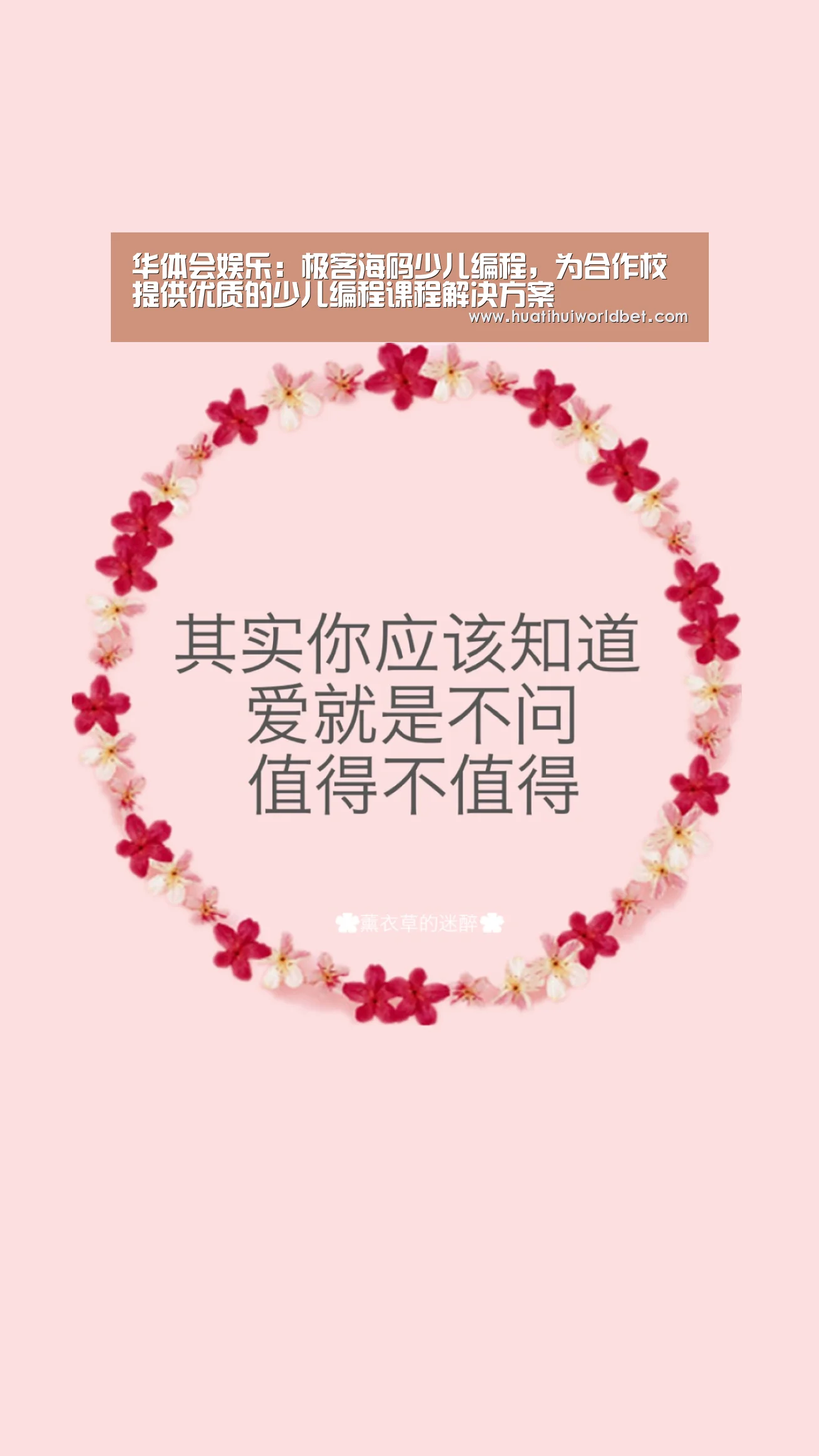 华体会娱乐:极客海码少儿编程,为合作校提供优质的少儿编程课程解决方案(图2) 华体会真人