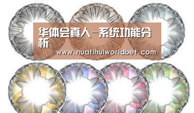 华体会真人-系统功能分析