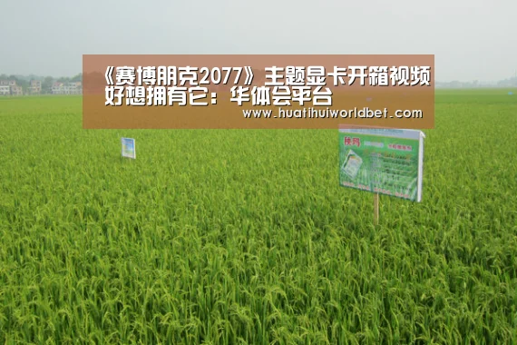 《赛博朋克2077》主题显卡开箱视频 好想拥有它:华体会平台(图2) 华体会平台